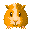 guinea pig
